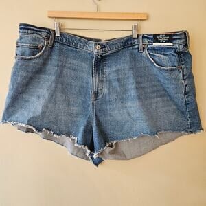 Abercrombie Women's Curve Love Cutoff Shorts, Size 37 (24W) High Rise 90s
